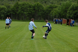 fiksrekvvil22011 005